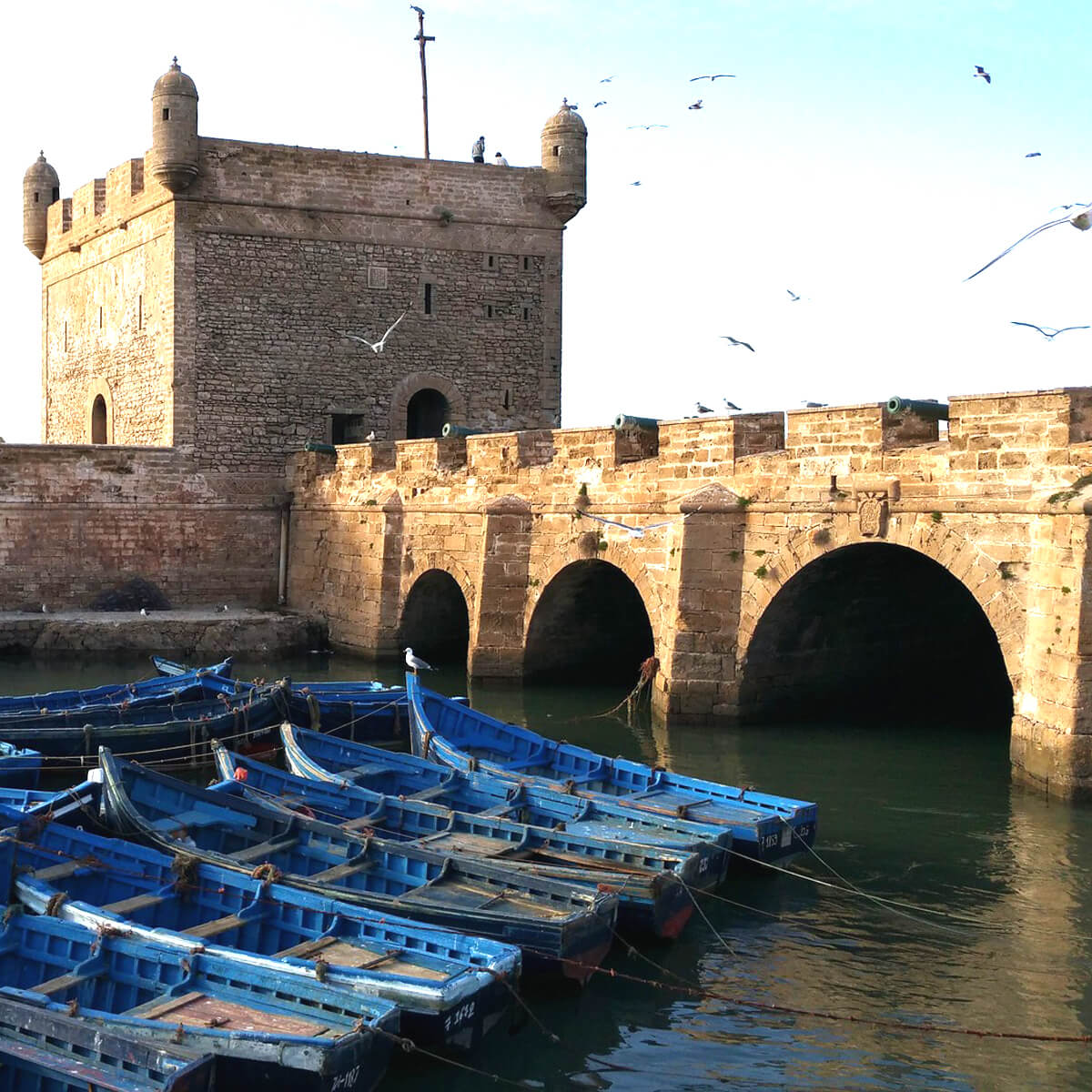 Essaouira - Mogador Things to Do Travel Advice Morocco 