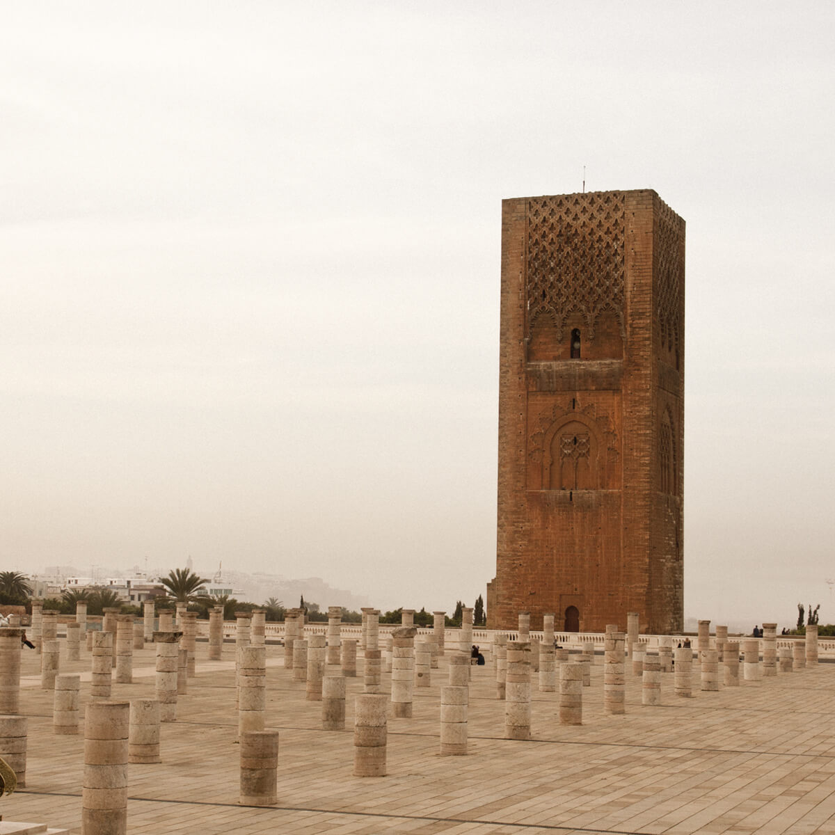 Rabat Things to Do, Travel Guide and Visitor Information Rabat Things to Do, Travel Guide and Visitor Information