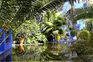 Majorelle Gardens