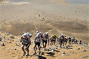 The Marathon des Sables