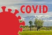 covid-19
