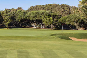 Golf of Mogador