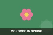 Morocco In Spring
